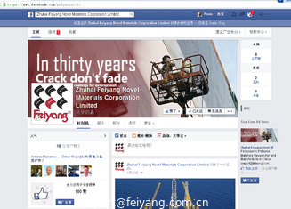china Zhuhai Feiyang Novel Materials Corporation Limited Facebook Page supplier