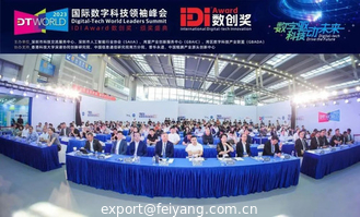 china Feiyang Honored as One of the Top Ten Innovative Enterprises in Digital Transformation supplier